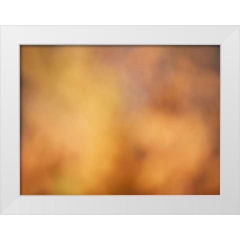 Soft Landscape V White Modern Wood Framed Art Print by McLoughlin, James