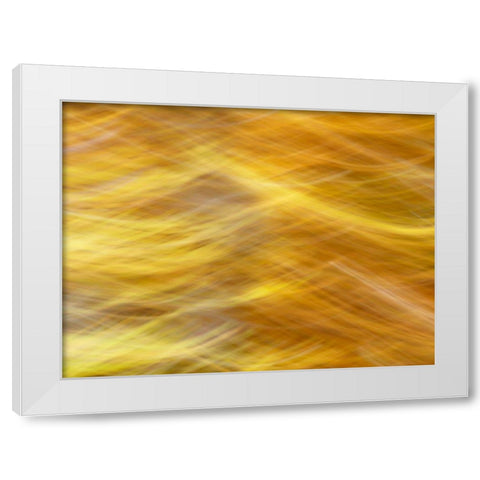 Soft Landscape VII White Modern Wood Framed Art Print by McLoughlin, James