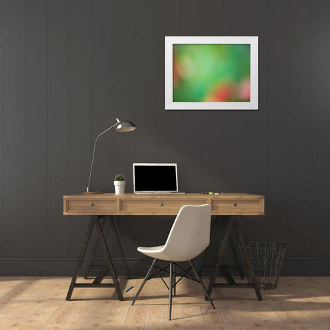 Soft Landscape VIII White Modern Wood Framed Art Print by McLoughlin, James