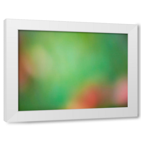 Soft Landscape VIII White Modern Wood Framed Art Print by McLoughlin, James