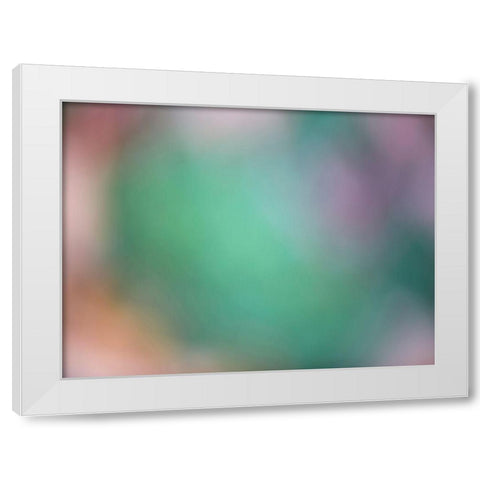 Soft Landscape IX White Modern Wood Framed Art Print by McLoughlin, James