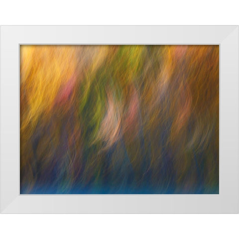 Soft Landscape X White Modern Wood Framed Art Print by McLoughlin, James