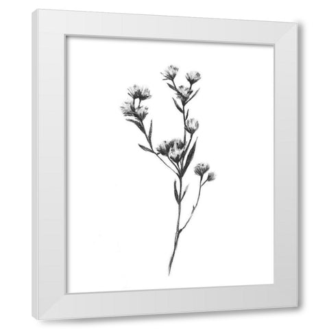 Wild Thistle I White Modern Wood Framed Art Print by Scarvey, Emma