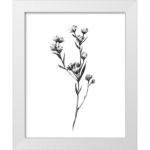 Wild Thistle I White Modern Wood Framed Art Print by Scarvey, Emma