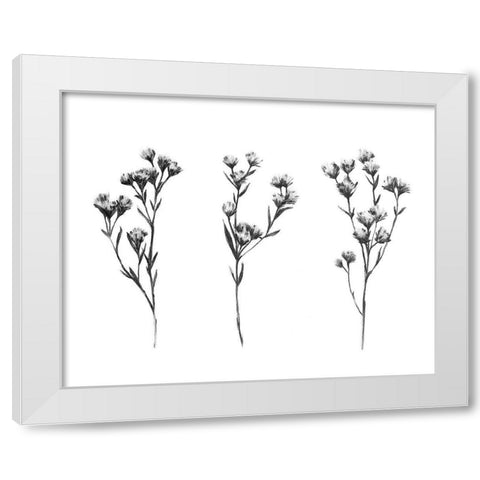 Wild Thistle IV White Modern Wood Framed Art Print by Scarvey, Emma