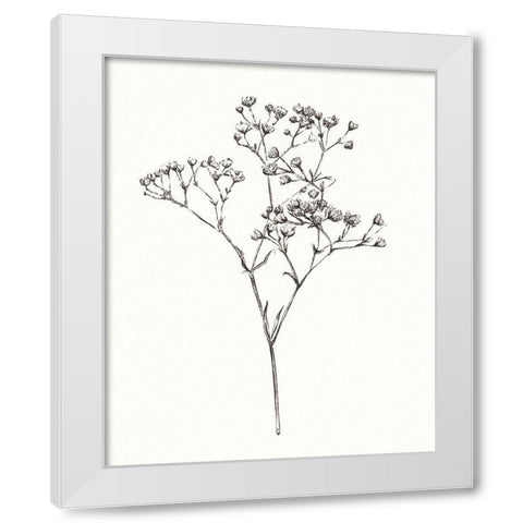 Wild Bloom Sketch I White Modern Wood Framed Art Print by Warren, Annie