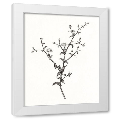 Wild Bloom Sketch II White Modern Wood Framed Art Print by Warren, Annie