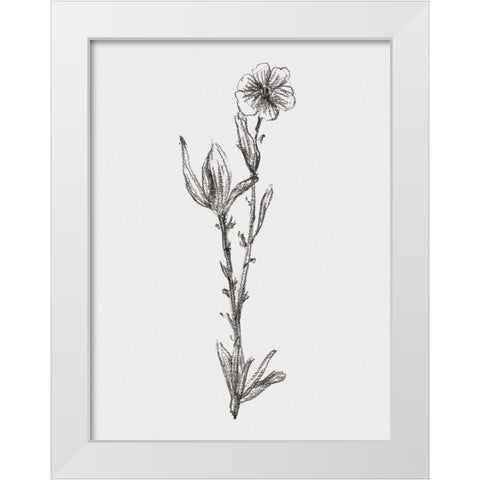 Stem Still Life I White Modern Wood Framed Art Print by Wang, Melissa