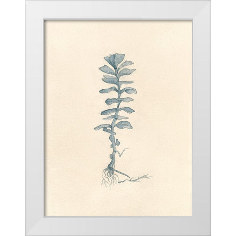 Uprooted I White Modern Wood Framed Art Print by Douglas, Jamie
