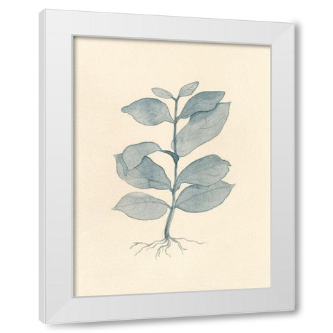 Uprooted II White Modern Wood Framed Art Print by Douglas, Jamie
