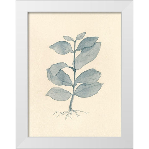 Uprooted II White Modern Wood Framed Art Print by Douglas, Jamie