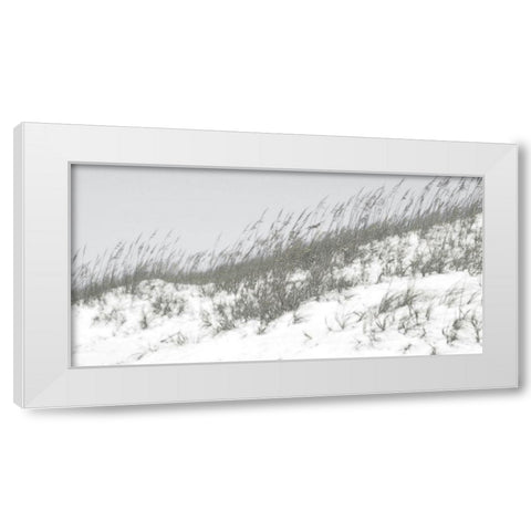 Lush Dunes I White Modern Wood Framed Art Print by Chandler, Sharon