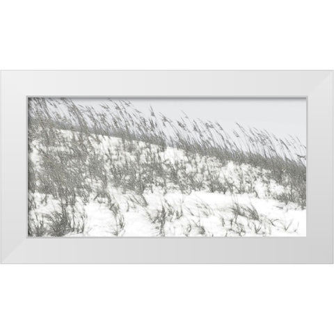 Lush Dunes II White Modern Wood Framed Art Print by Chandler, Sharon