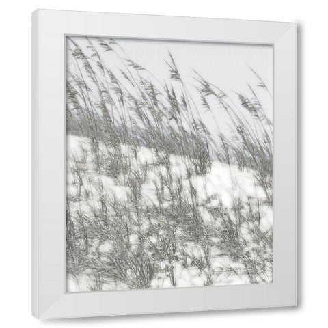 Lush Dunes III White Modern Wood Framed Art Print by Chandler, Sharon
