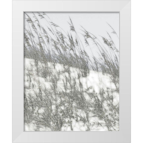 Lush Dunes III White Modern Wood Framed Art Print by Chandler, Sharon