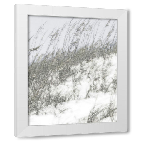 Lush Dunes IV White Modern Wood Framed Art Print by Chandler, Sharon