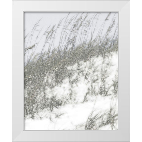 Lush Dunes IV White Modern Wood Framed Art Print by Chandler, Sharon