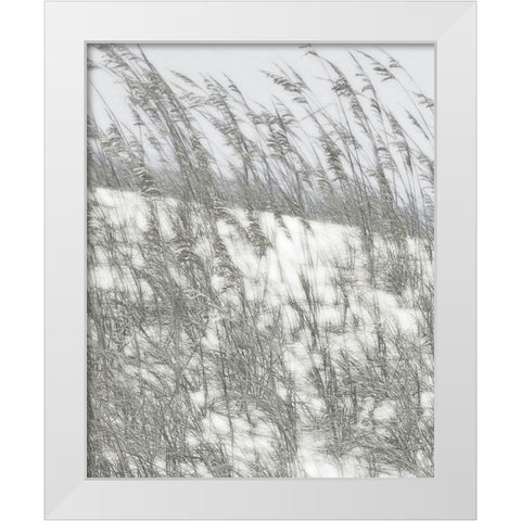 Lush Dunes VI White Modern Wood Framed Art Print by Chandler, Sharon
