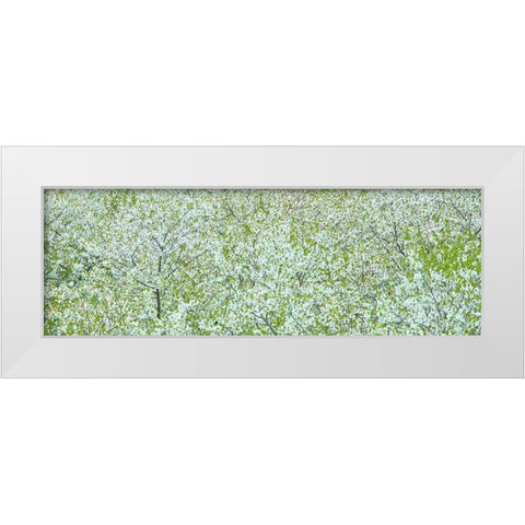 Tree Panorama I White Modern Wood Framed Art Print by McLoughlin, James