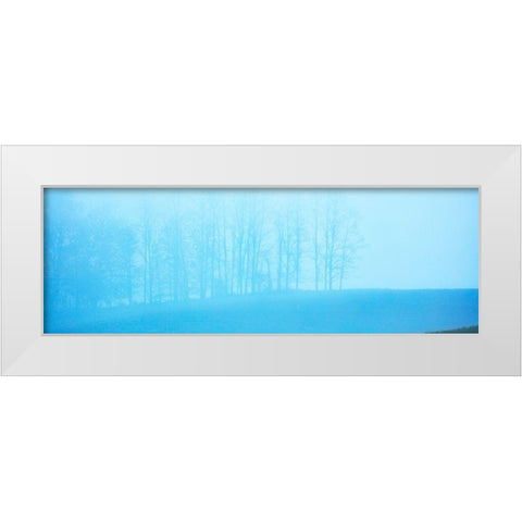 Tree Panorama II White Modern Wood Framed Art Print by McLoughlin, James