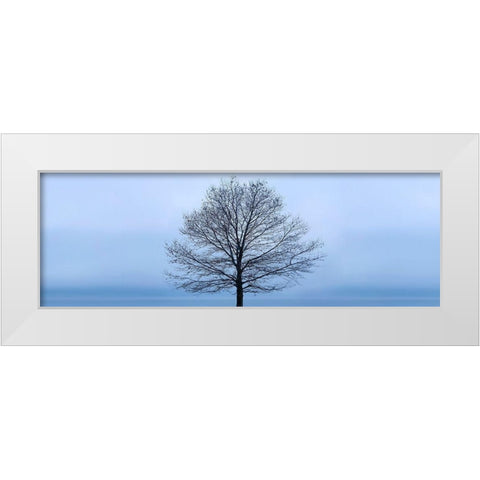Tree Panorama VI White Modern Wood Framed Art Print by McLoughlin, James