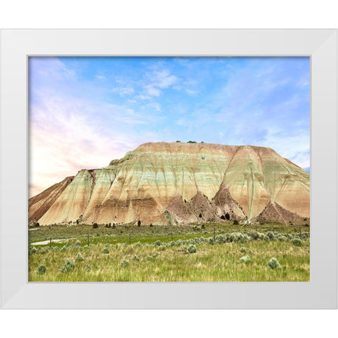 Western Landscape Photo IV White Modern Wood Framed Art Print by McLoughlin, James