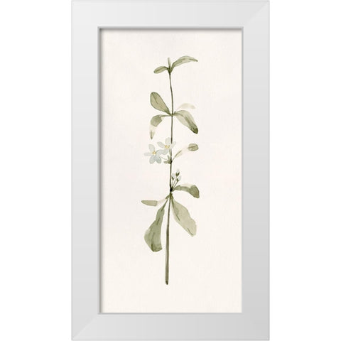 Early Blooms I White Modern Wood Framed Art Print by Caroline, Emma