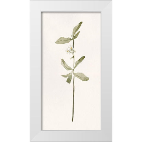 Early Blooms II White Modern Wood Framed Art Print by Caroline, Emma