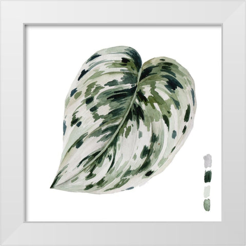 Scindapsus I White Modern Wood Framed Art Print by Wang, Melissa