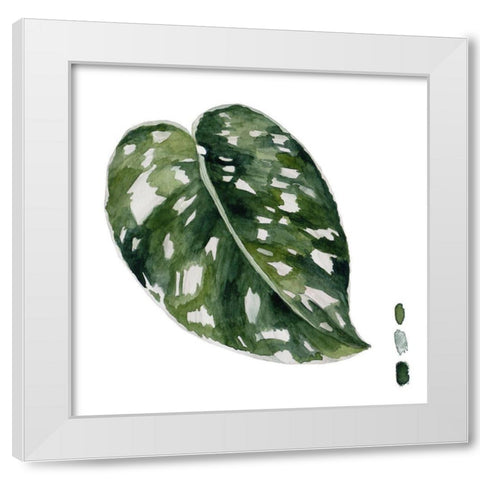 Scindapsus II White Modern Wood Framed Art Print by Wang, Melissa