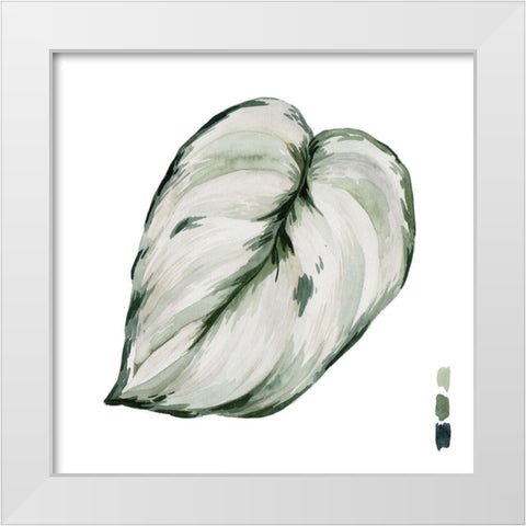 Scindapsus III White Modern Wood Framed Art Print by Wang, Melissa