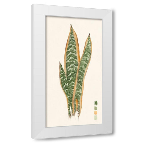 Snake Plants I White Modern Wood Framed Art Print by Wang, Melissa