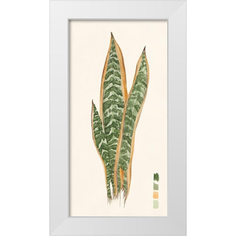 Snake Plants I White Modern Wood Framed Art Print by Wang, Melissa