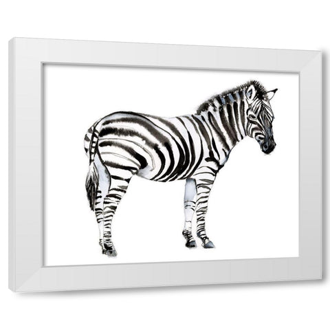 Standing Zebra I White Modern Wood Framed Art Print by Goldberger, Jennifer