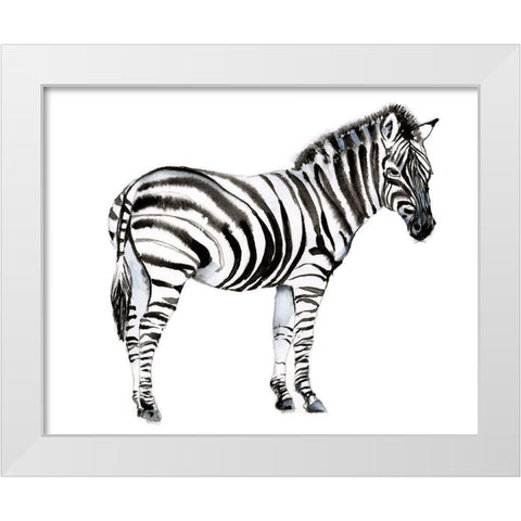 Standing Zebra I White Modern Wood Framed Art Print by Goldberger, Jennifer
