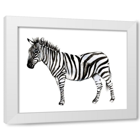 Standing Zebra II White Modern Wood Framed Art Print by Goldberger, Jennifer