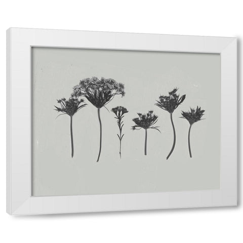 Wildflower Memory I White Modern Wood Framed Art Print by Goldberger, Jennifer
