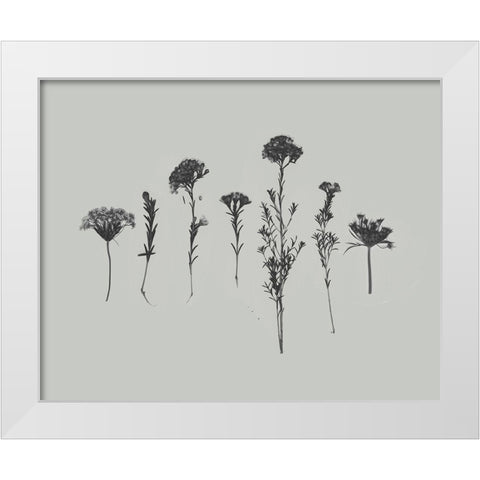 Wildflower Memory II White Modern Wood Framed Art Print by Goldberger, Jennifer