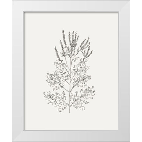 Wild Foliage Sketch II White Modern Wood Framed Art Print by Borges, Victoria