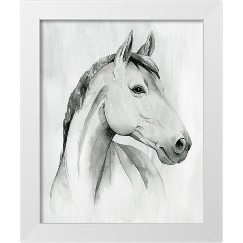 Silver Gelding I White Modern Wood Framed Art Print by Popp, Grace