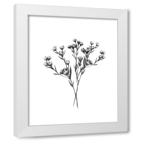 Wild Thistle Bundle II White Modern Wood Framed Art Print by Scarvey, Emma