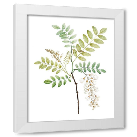 Soft Green Botanical I White Modern Wood Framed Art Print by Vision Studio