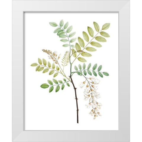 Soft Green Botanical I White Modern Wood Framed Art Print by Vision Studio