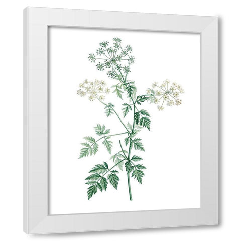 Soft Green Botanical II White Modern Wood Framed Art Print by Vision Studio