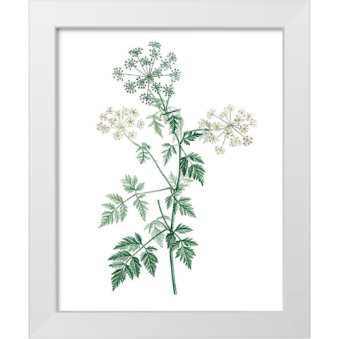 Soft Green Botanical II White Modern Wood Framed Art Print by Vision Studio