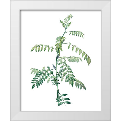 Soft Green Botanical III White Modern Wood Framed Art Print by Vision Studio