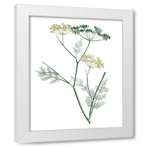 Soft Green Botanical IV White Modern Wood Framed Art Print by Vision Studio