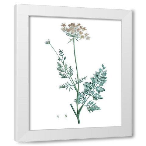 Soft Green Botanical V White Modern Wood Framed Art Print by Vision Studio