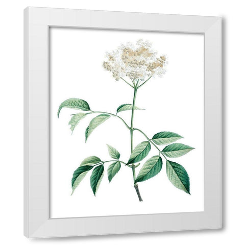 Soft Green Botanical VI White Modern Wood Framed Art Print by Vision Studio