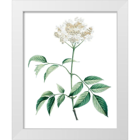 Soft Green Botanical VI White Modern Wood Framed Art Print by Vision Studio